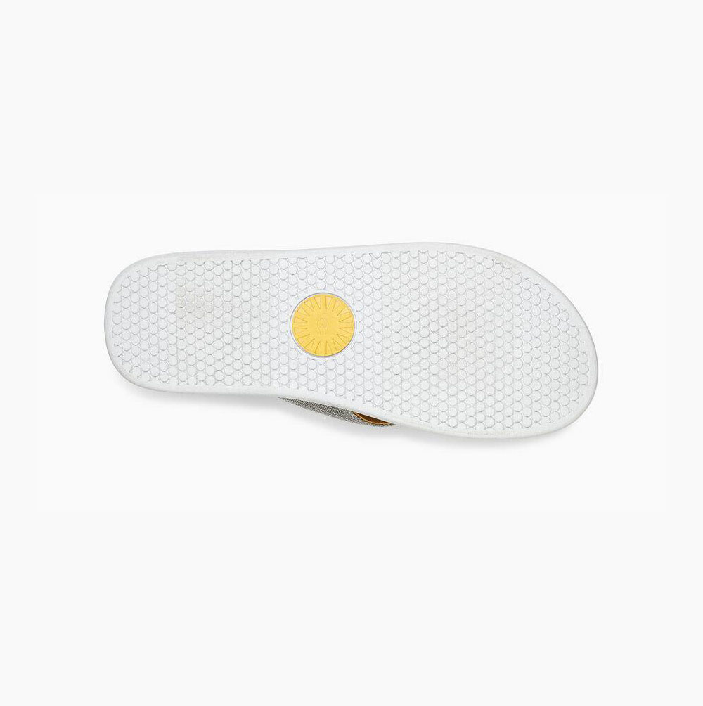 UGG Brookside Flip Canvas Flip Flop Herr Ljusblå | KNHGZT5R
