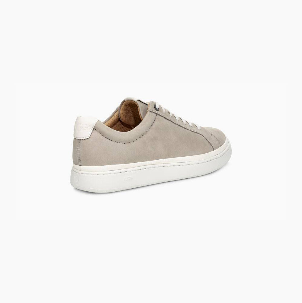 UGG Cali Low Nubuck Sneakers Herr Ljusblå | NGGQ4DO9