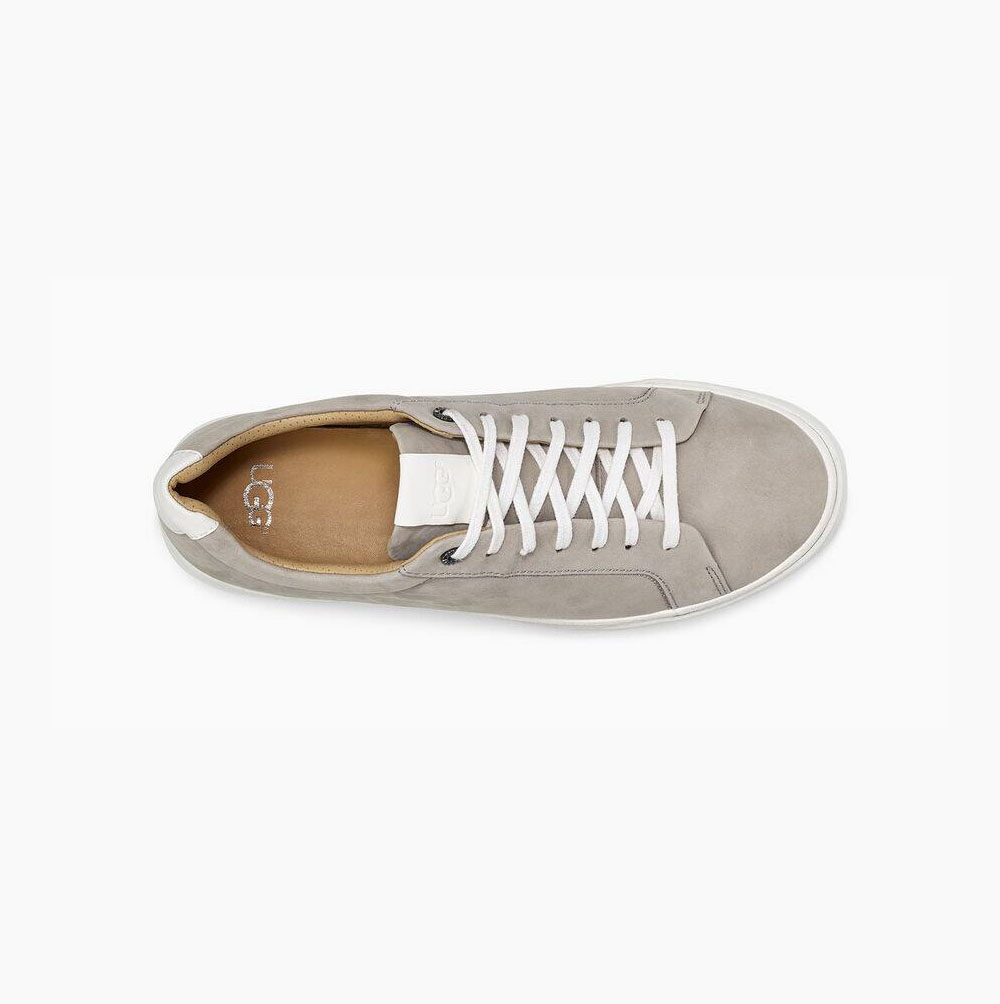 UGG Cali Low Nubuck Sneakers Herr Ljusblå | NGGQ4DO9