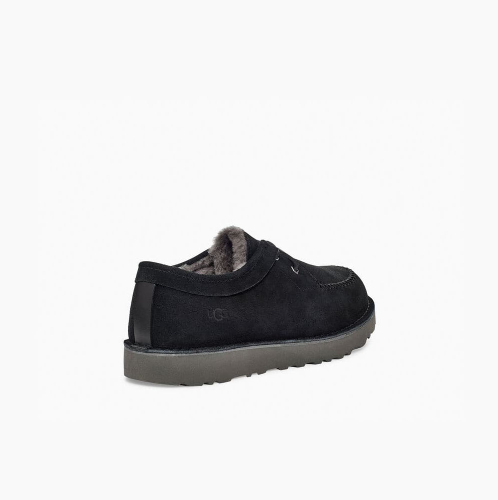 UGG Campout Spets Low Snörkängor Herr Svarta | QXXT5VEN