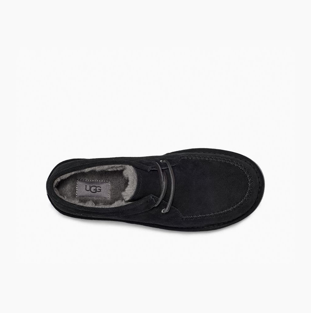 UGG Campout Spets Low Snörkängor Herr Svarta | QXXT5VEN