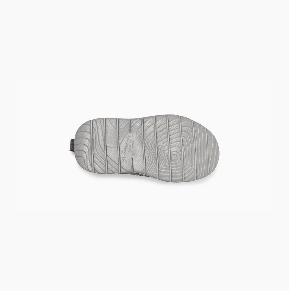 UGG Canoe Sneakers Barn Mörkgrå | PLC37JA7