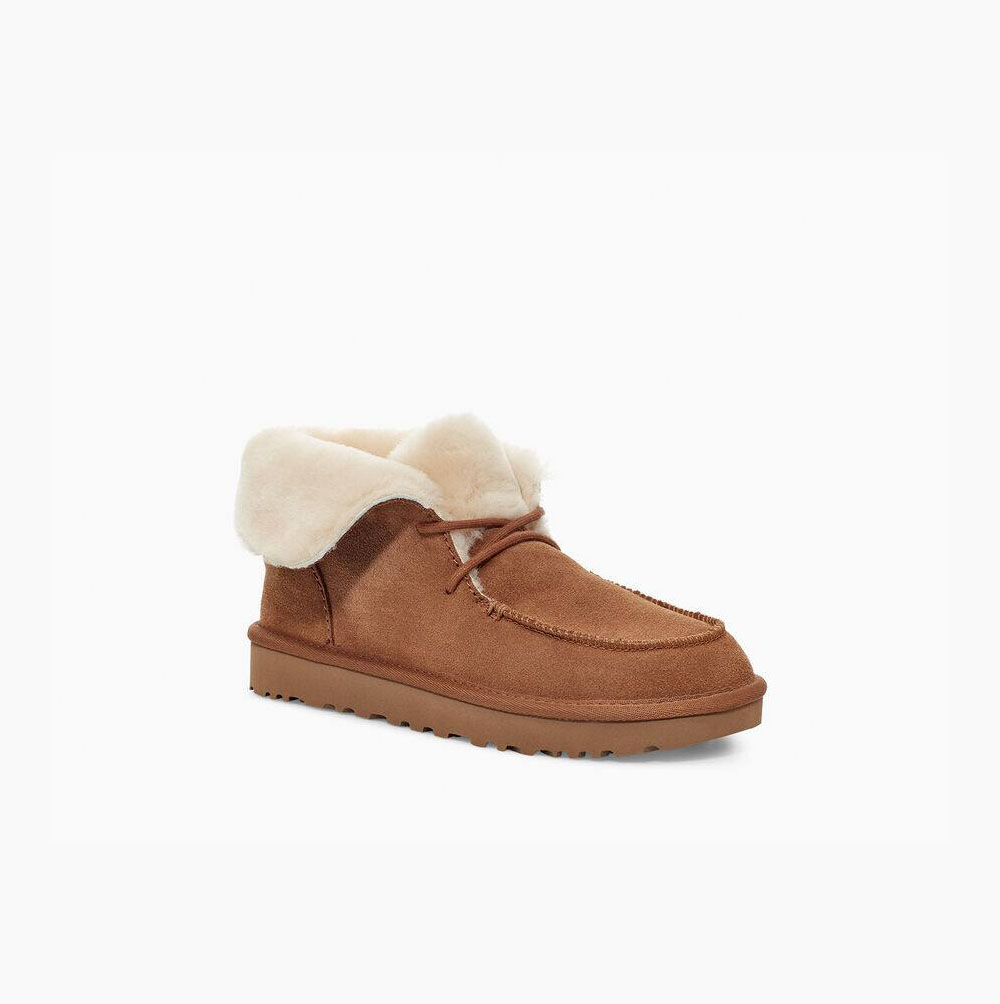 UGG Diara Chukka Ankelboots Dam Bruna | 38OKOV4C