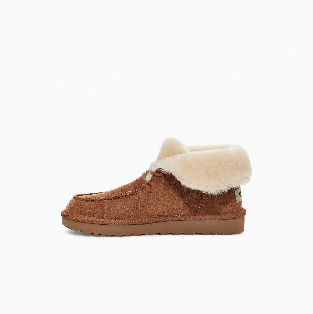 UGG Diara Chukka Ankelboots Dam Bruna | 38OKOV4C