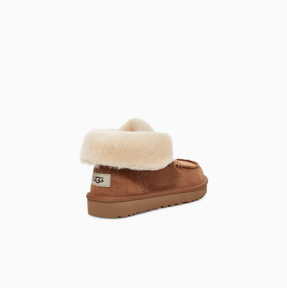 UGG Diara Chukka Ankelboots Dam Bruna | 38OKOV4C