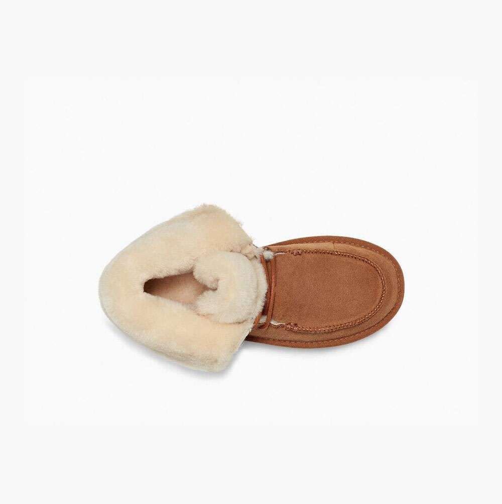 UGG Diara Chukka Ankelboots Dam Bruna | 38OKOV4C