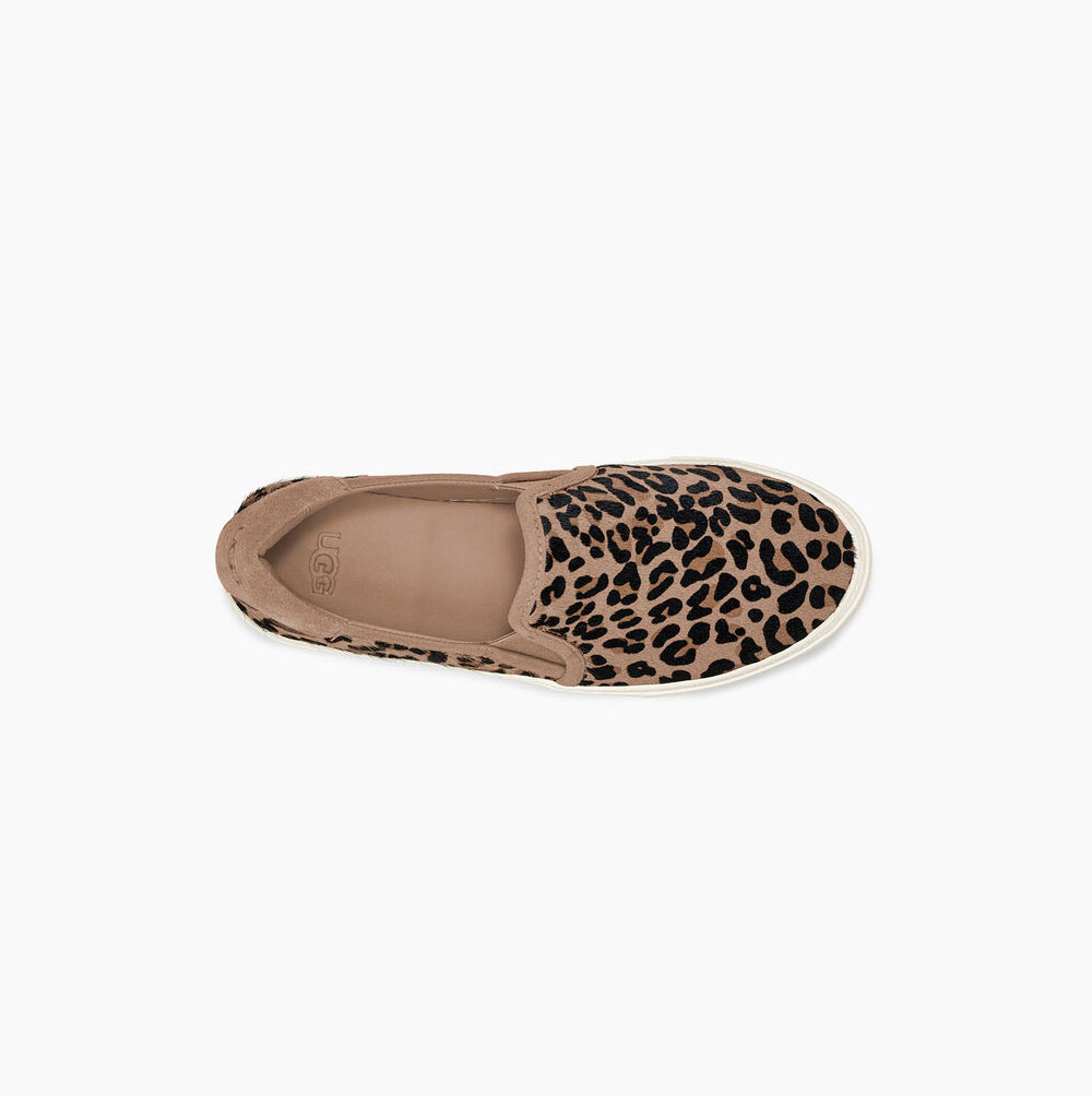 UGG Jass Exotic Slip On Sneakers Dam Beige | IZFHZ99X