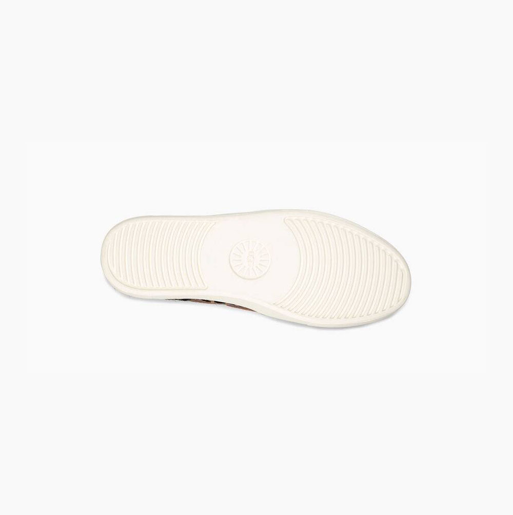 UGG Jass Exotic Slip On Sneakers Dam Beige | IZFHZ99X