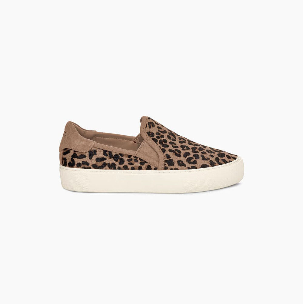 UGG Jass Exotic Slip On Sneakers Dam Beige | IZFHZ99X
