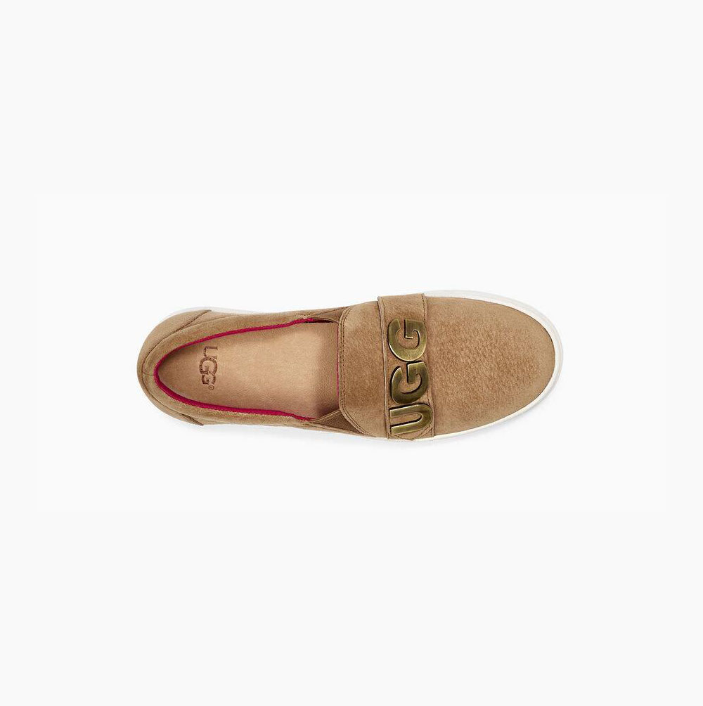 UGG Kitlyn Charm Slip On Sneakers Dam Bruna | 3RTXCGP6