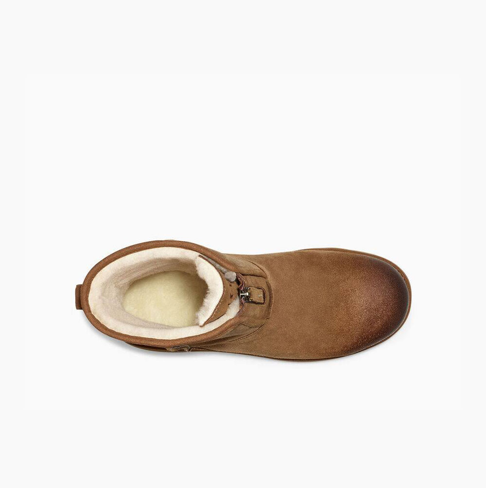 UGG Klassiska Front Zip Weather Korta Stövlar Herr Bruna | 081WLGFH