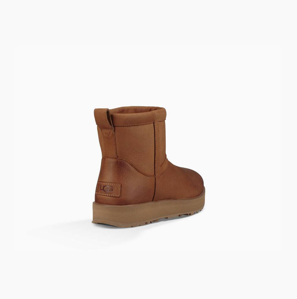 UGG Klassiska Mini Läder Vattentäta Kängor Dam Bruna | 85YK9EVA