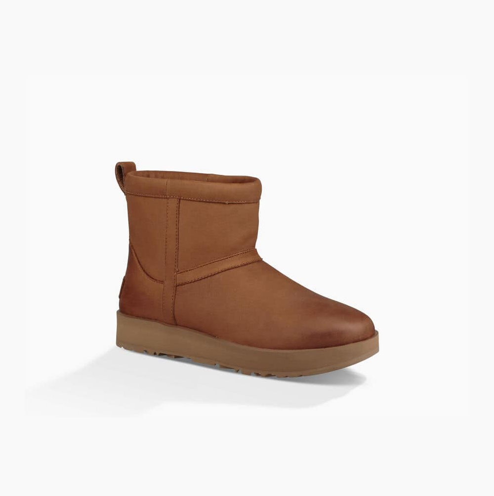 UGG Klassiska Mini Vattentäta Kängor Dam Bruna | V6YXVT00