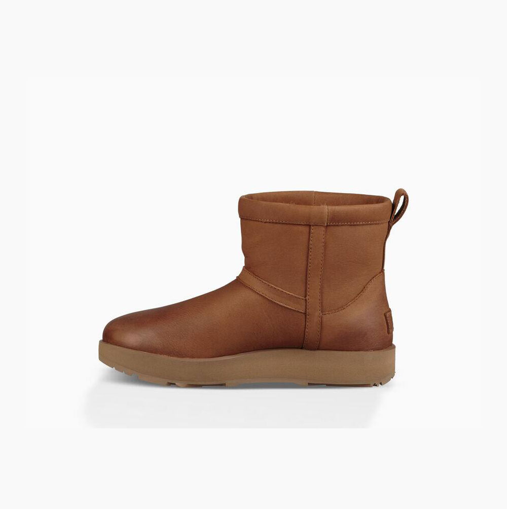 UGG Klassiska Mini Vattentäta Kängor Dam Bruna | V6YXVT00