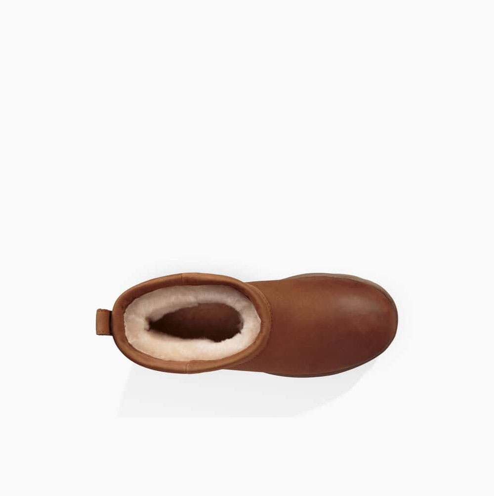 UGG Klassiska Mini Vattentäta Kängor Dam Bruna | V6YXVT00