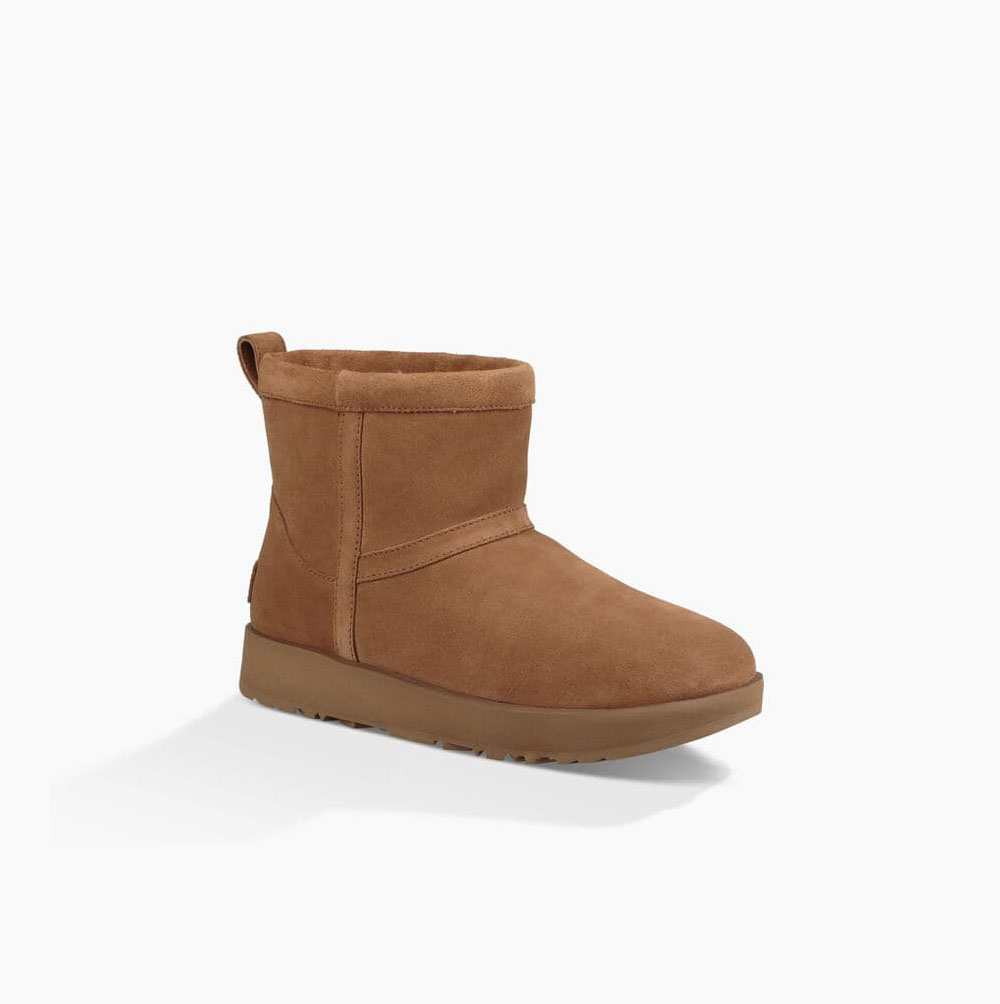 UGG Klassiska Mini Weather Classic Boots Dam Bruna | Z0BNKII1