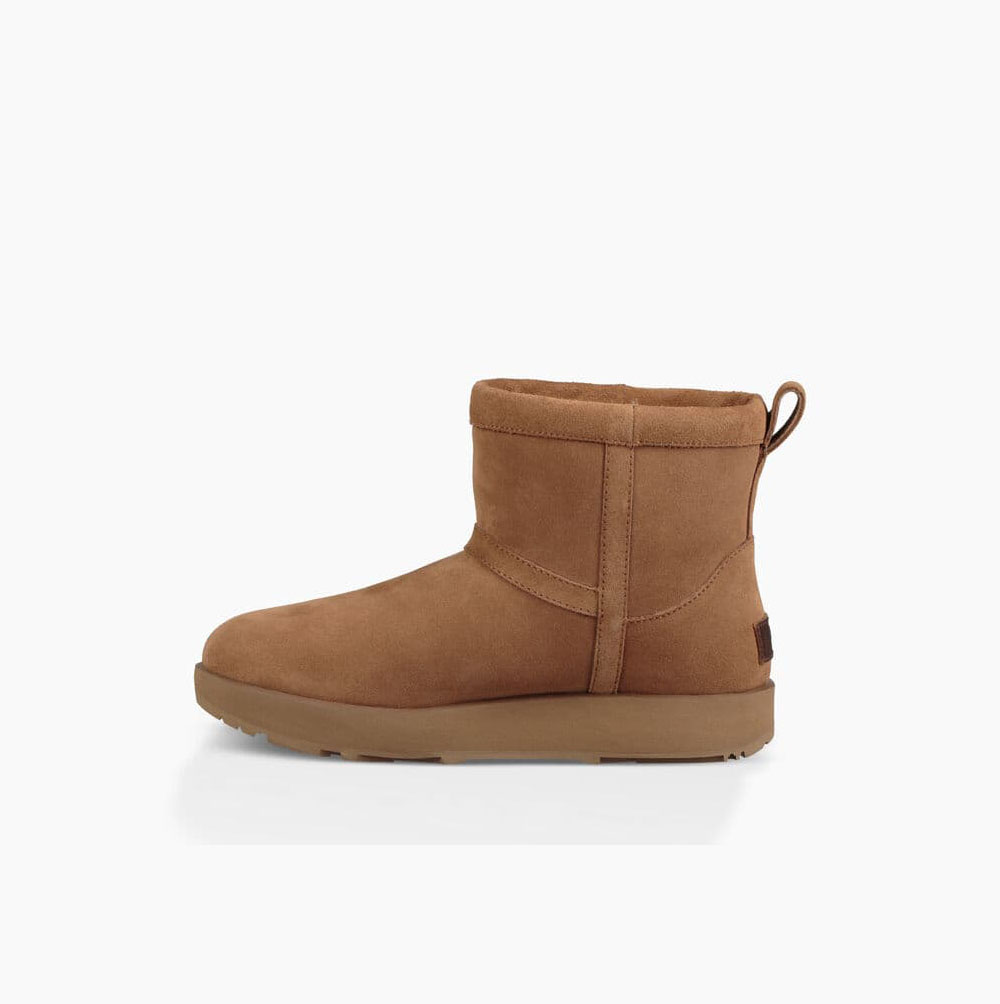 UGG Klassiska Mini Weather Classic Boots Dam Bruna | Z0BNKII1