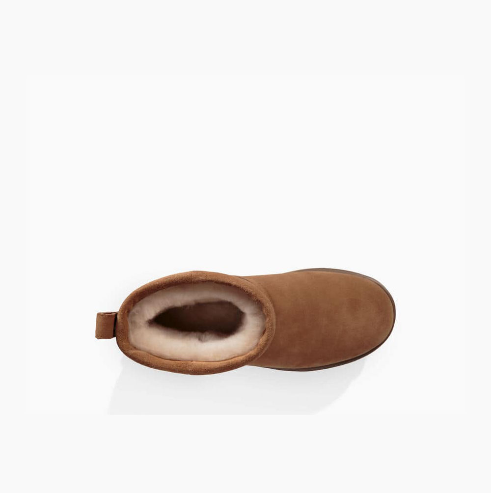 UGG Klassiska Mini Weather Classic Boots Dam Bruna | Z0BNKII1