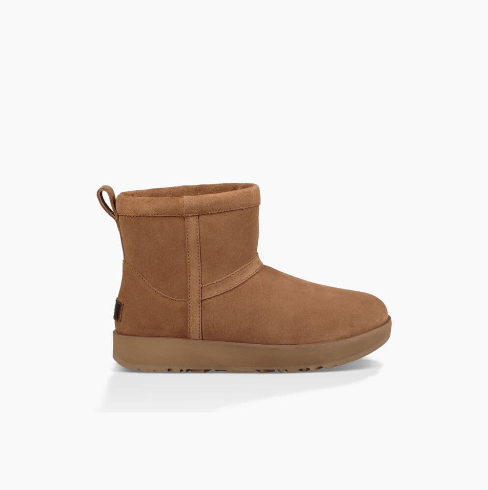 UGG Klassiska Mini Weather Classic Boots Dam Bruna | Z0BNKII1