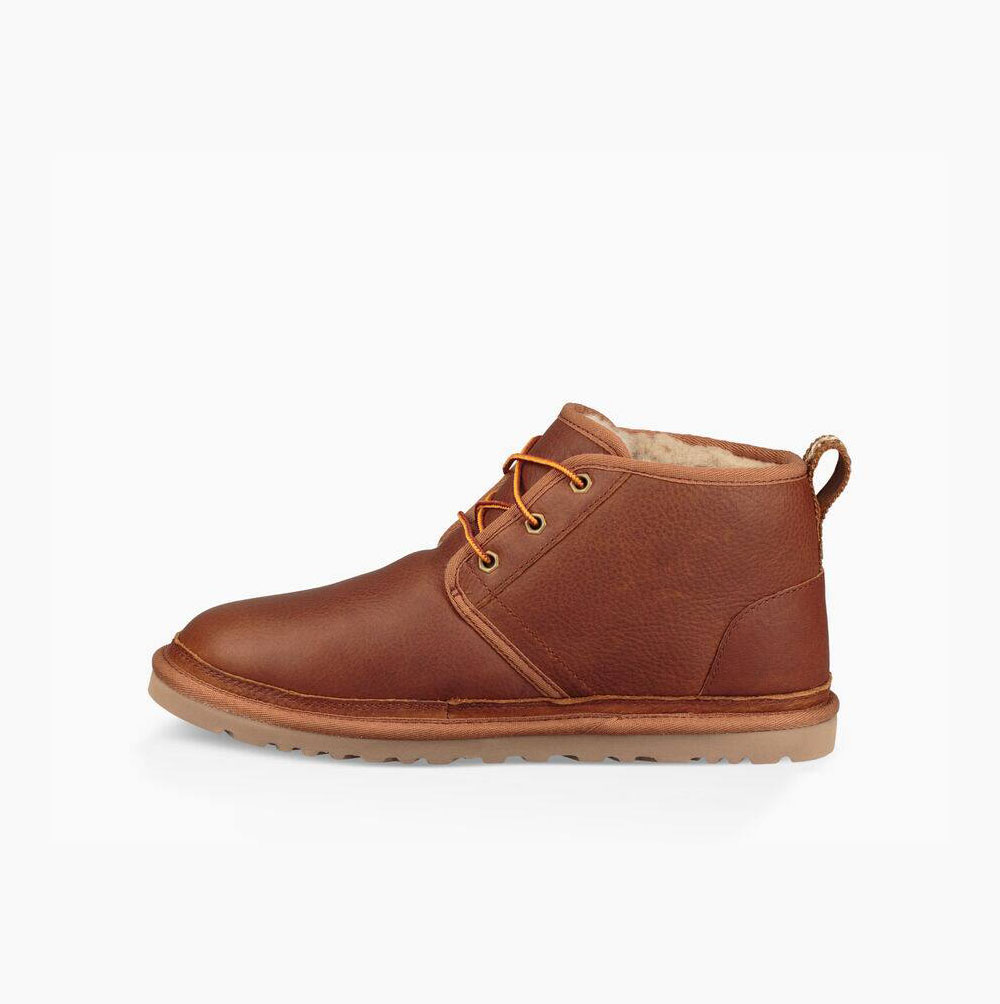UGG Läder Neumel Chukka Snörkängor Herr Bruna | QCQT9VBD