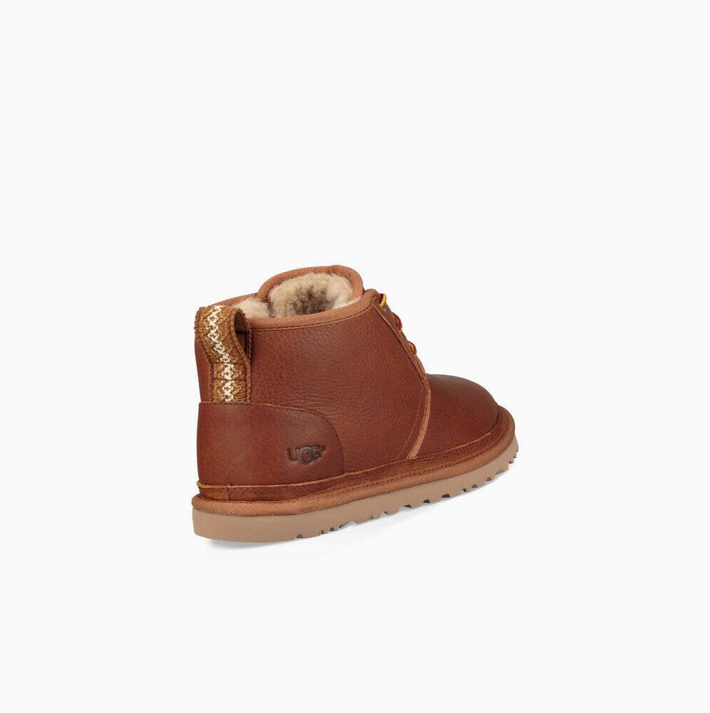 UGG Läder Neumel Chukka Snörkängor Herr Bruna | QCQT9VBD