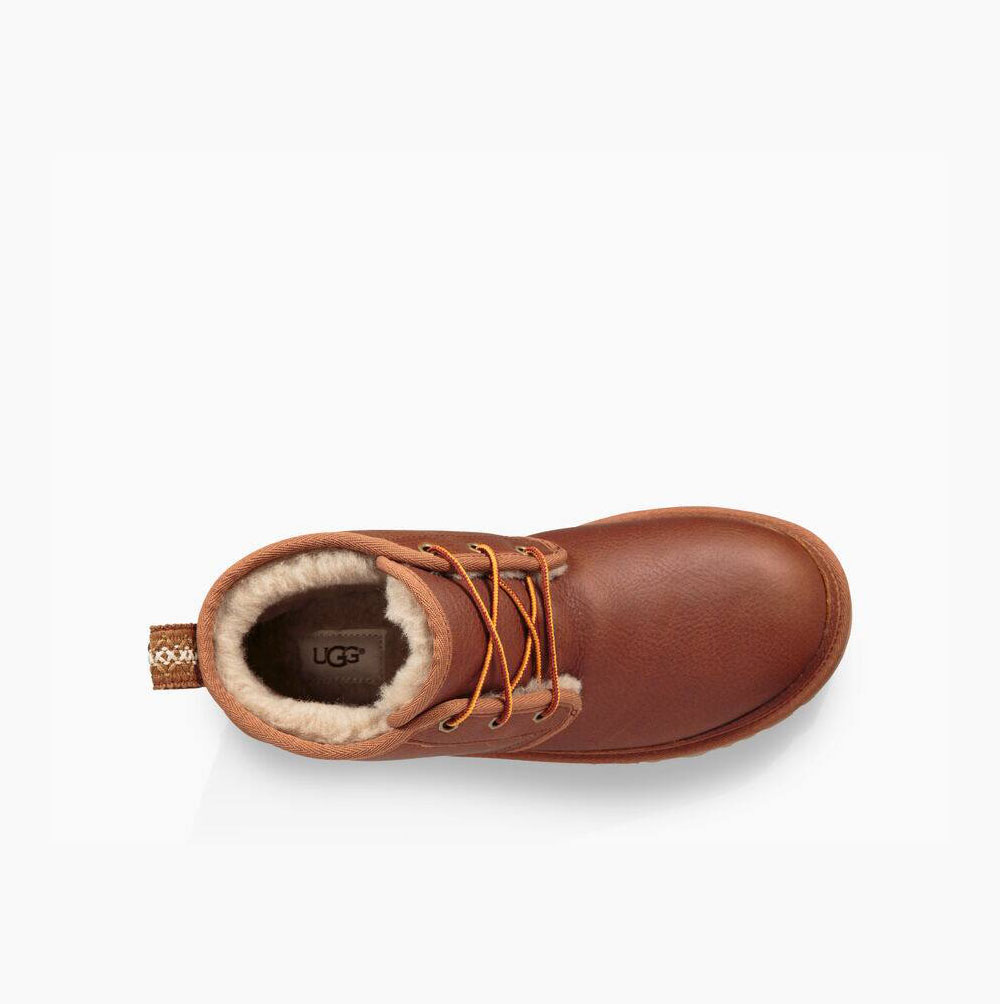 UGG Läder Neumel Chukka Snörkängor Herr Bruna | QCQT9VBD