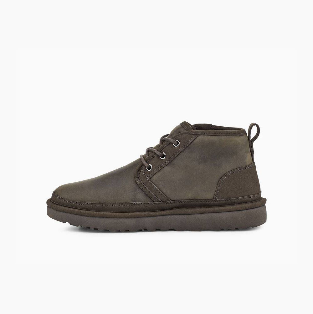 UGG Neumel Zip Chukka Snörkängor Herr Svarta Olivgröna | GKY78D7Q