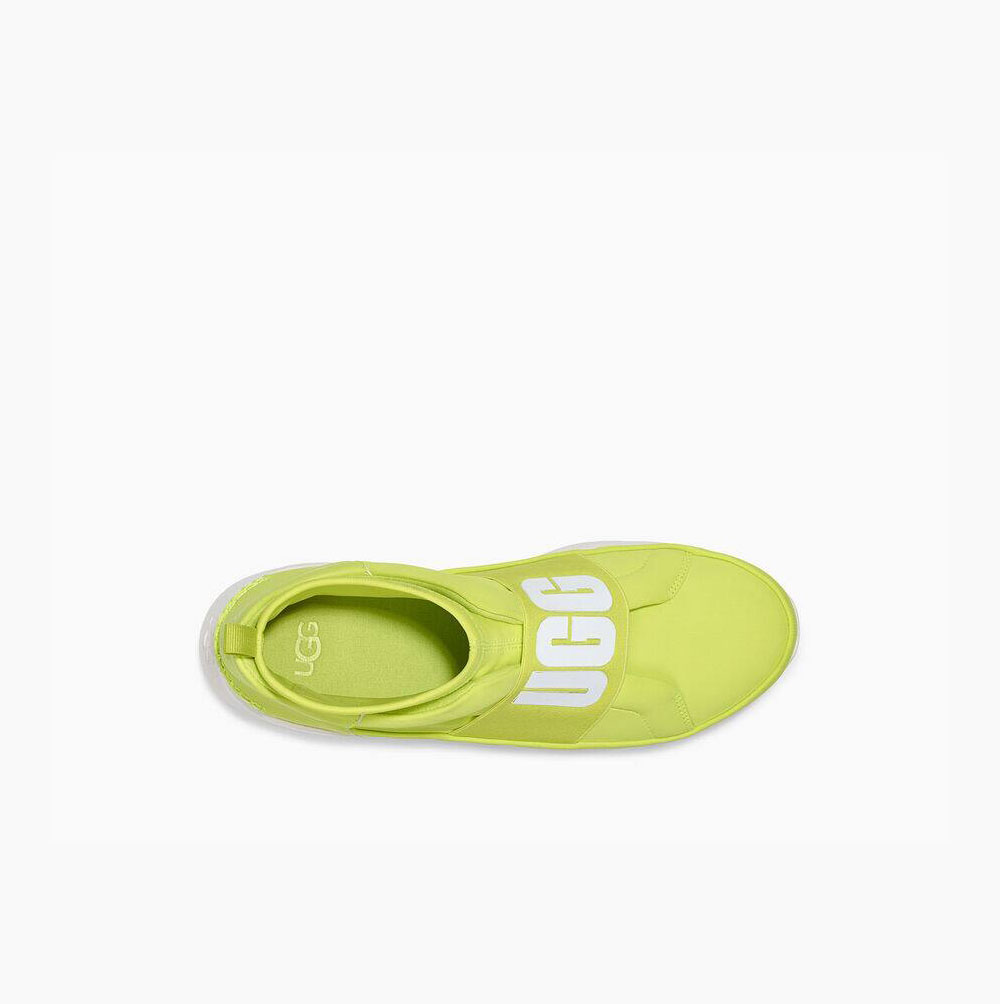 UGG Neutra Neon High Top Sneakers Dam Gula | URT7UCQB