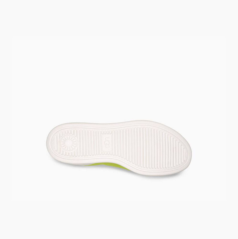 UGG Neutra Neon High Top Sneakers Dam Gula | URT7UCQB