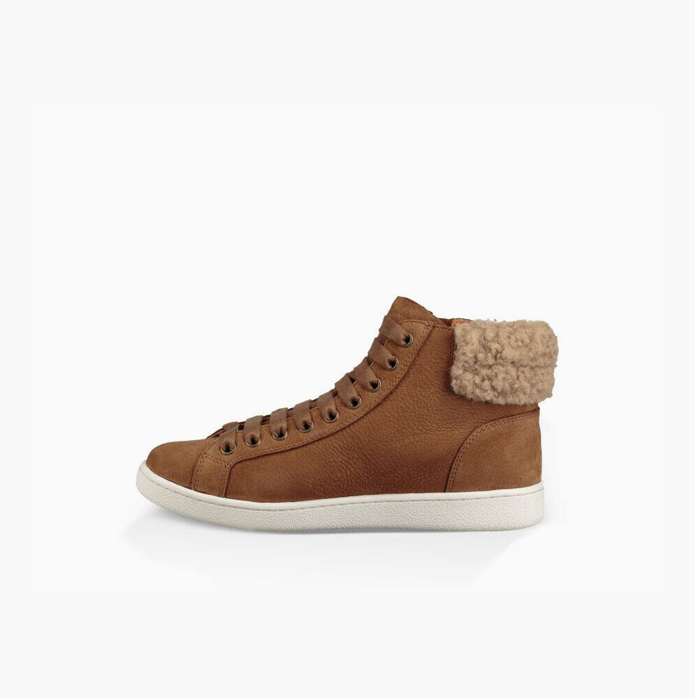 UGG Olive High Top Sneakers Dam Bruna | QQG04HEA