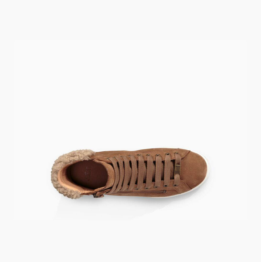 UGG Olive High Top Sneakers Dam Bruna | QQG04HEA