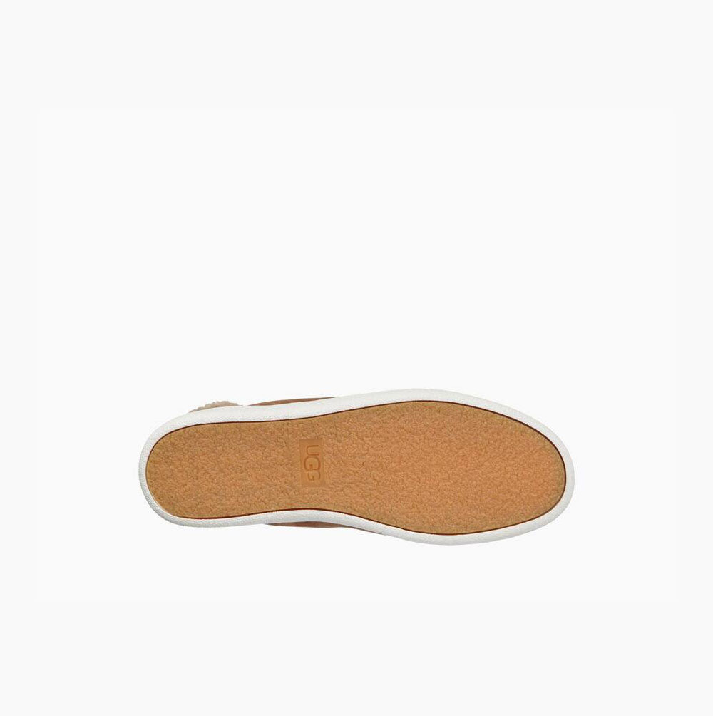 UGG Olive High Top Sneakers Dam Bruna | QQG04HEA