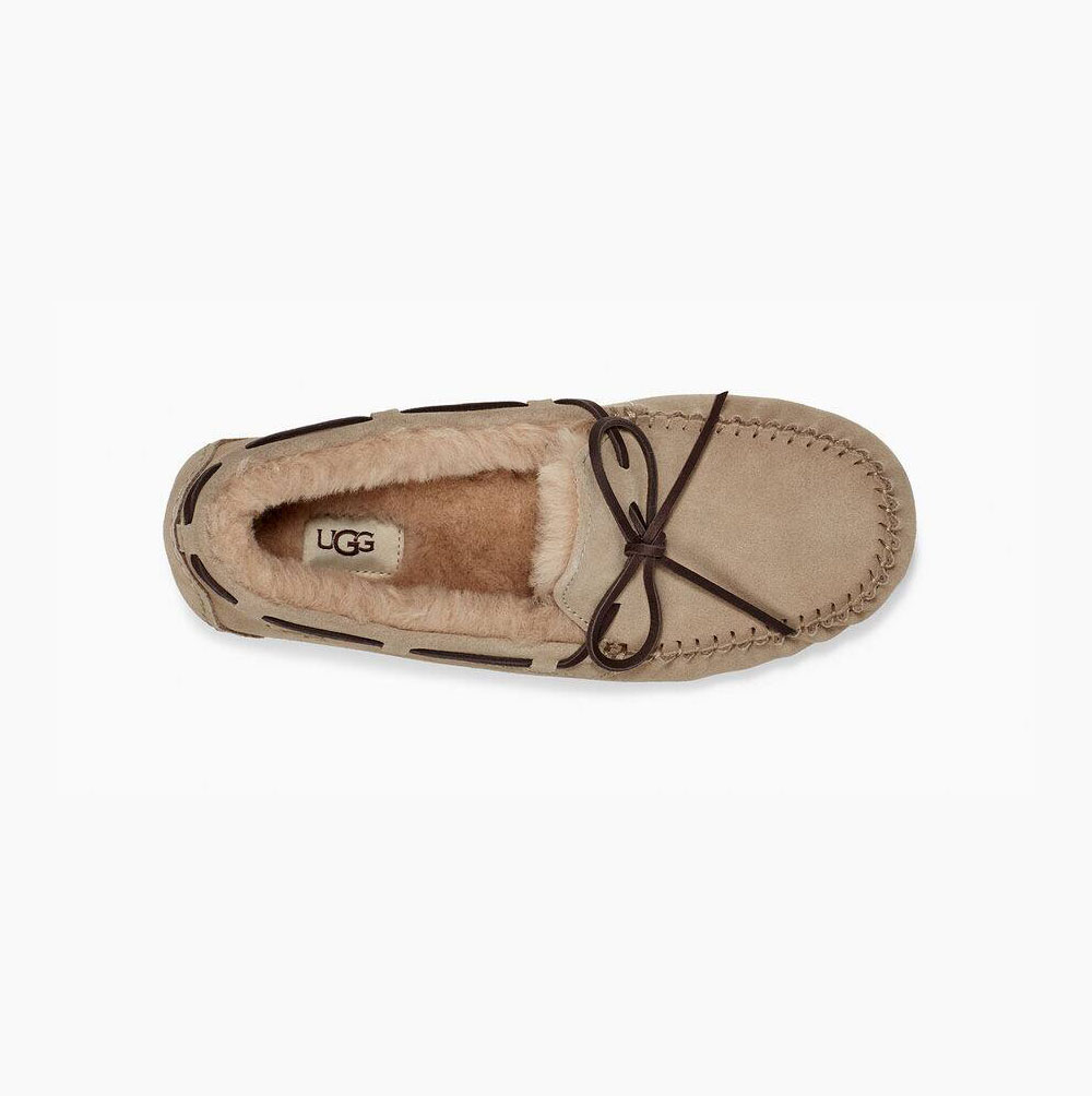 UGG Olsen Loafers Herr Beige | L6DA1JD9