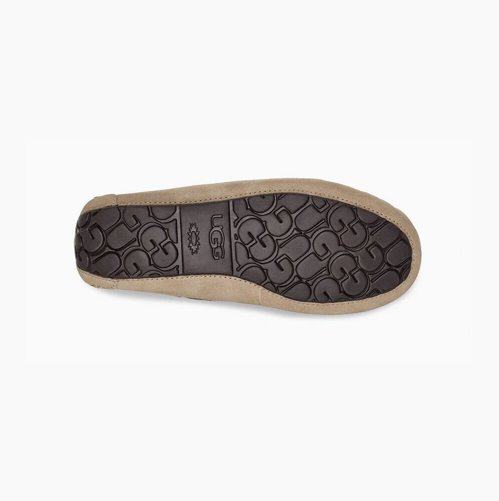 UGG Olsen Loafers Herr Beige | L6DA1JD9