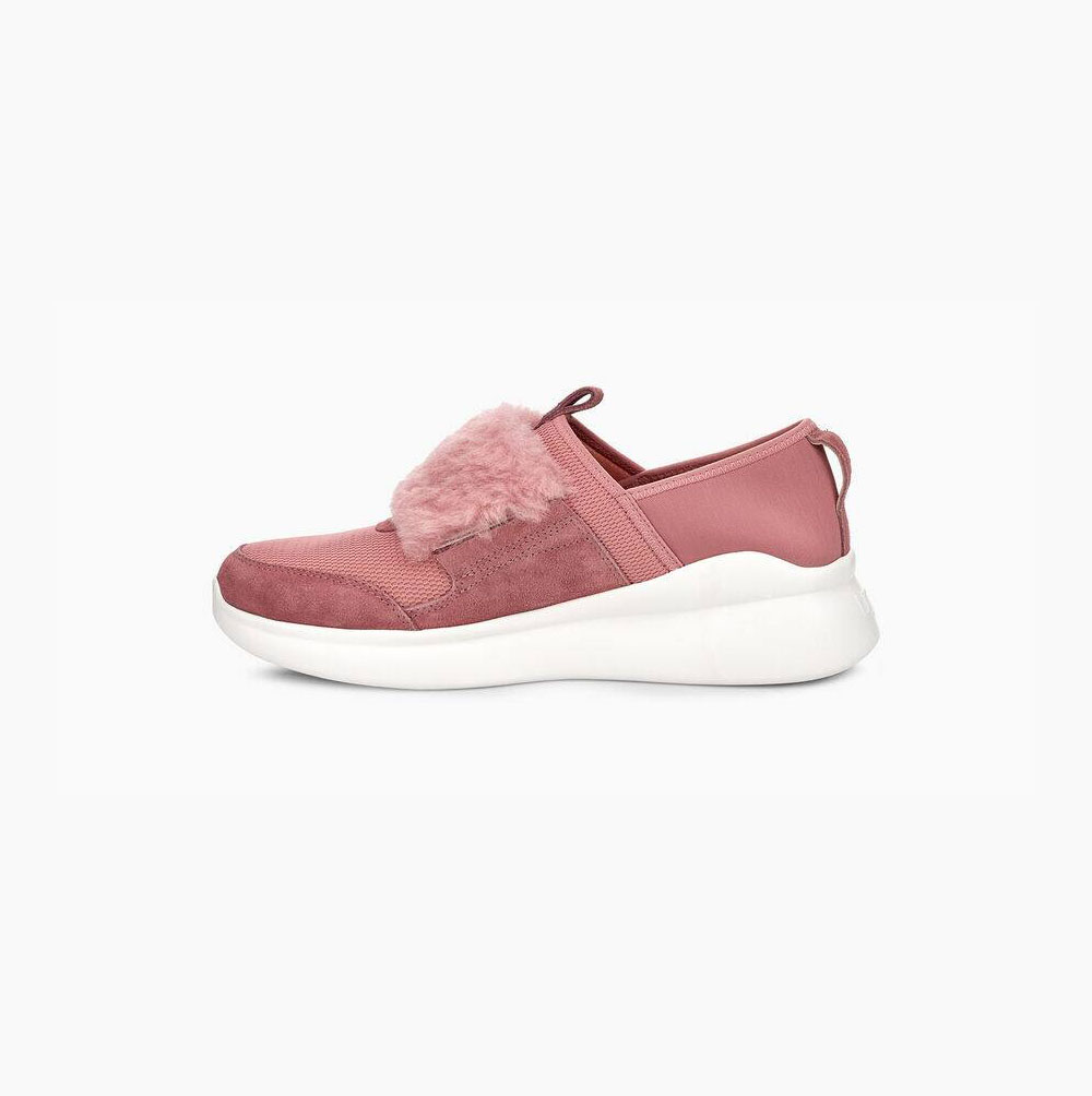UGG Pico Slip On Sneakers Dam Rosa | FBP9YD3P