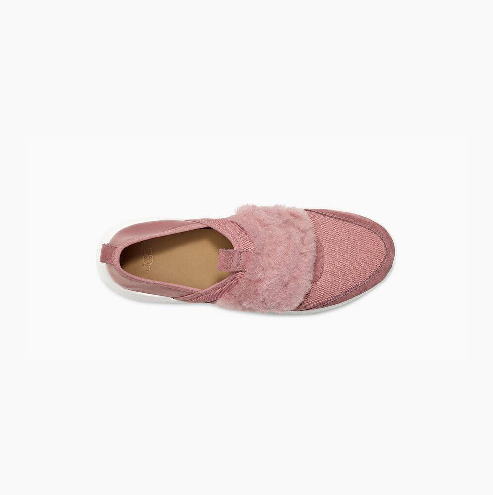 UGG Pico Slip On Sneakers Dam Rosa | FBP9YD3P
