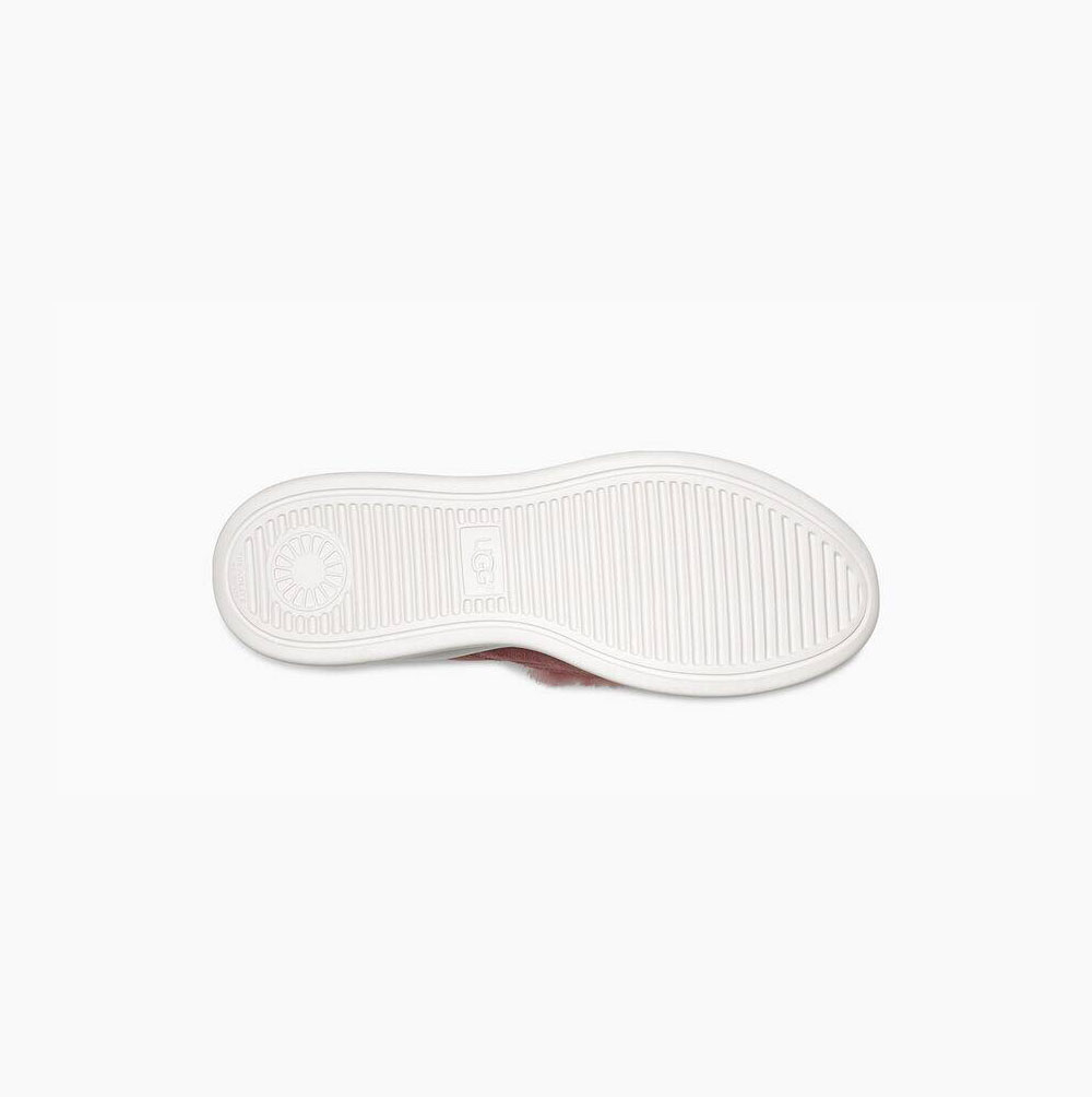 UGG Pico Slip On Sneakers Dam Rosa | FBP9YD3P