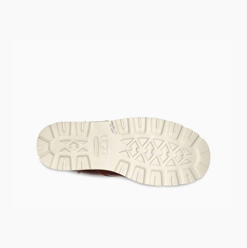UGG Ritter Snörkängor Herr Mörkbruna | OQXGS1CW
