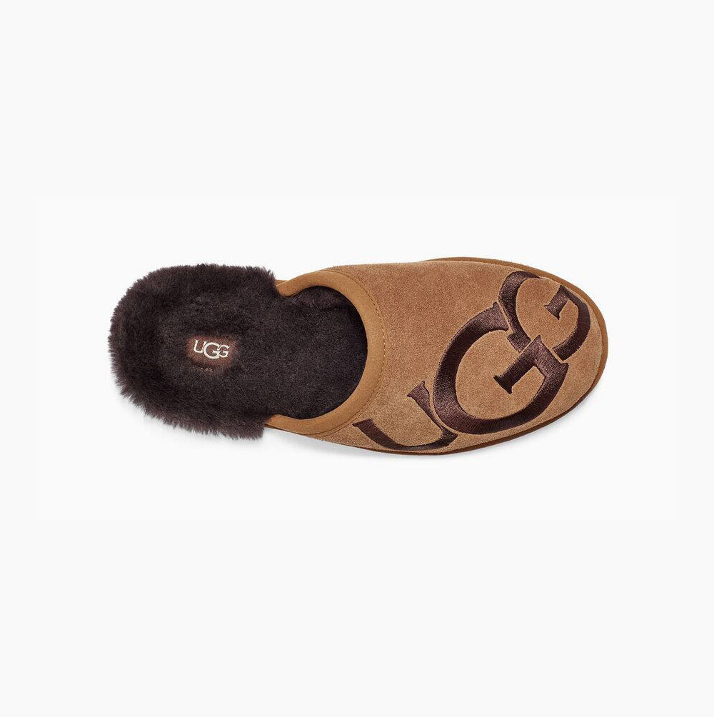 UGG Scuff Logo Tofflor Herr Bruna | ZVDUNTVO
