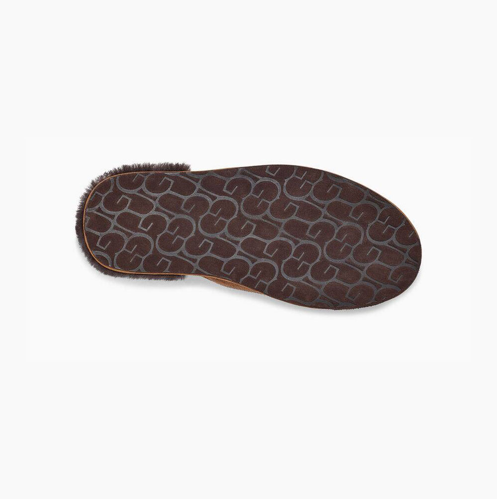 UGG Scuff Logo Tofflor Herr Bruna | ZVDUNTVO