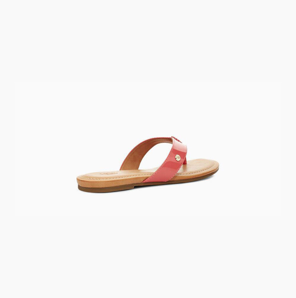 UGG Tuolumne Lack Flip Flop Dam Korall | 3MA3PMPR